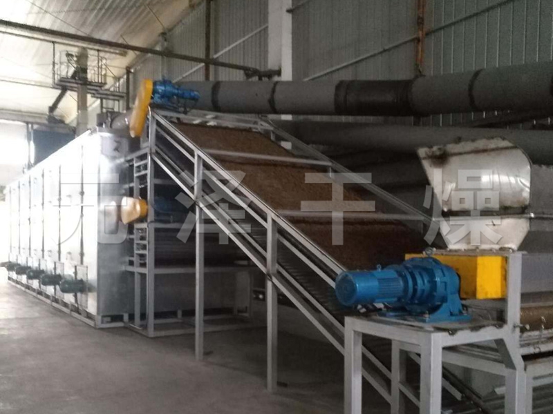 DWT系列脫水蔬菜干燥機